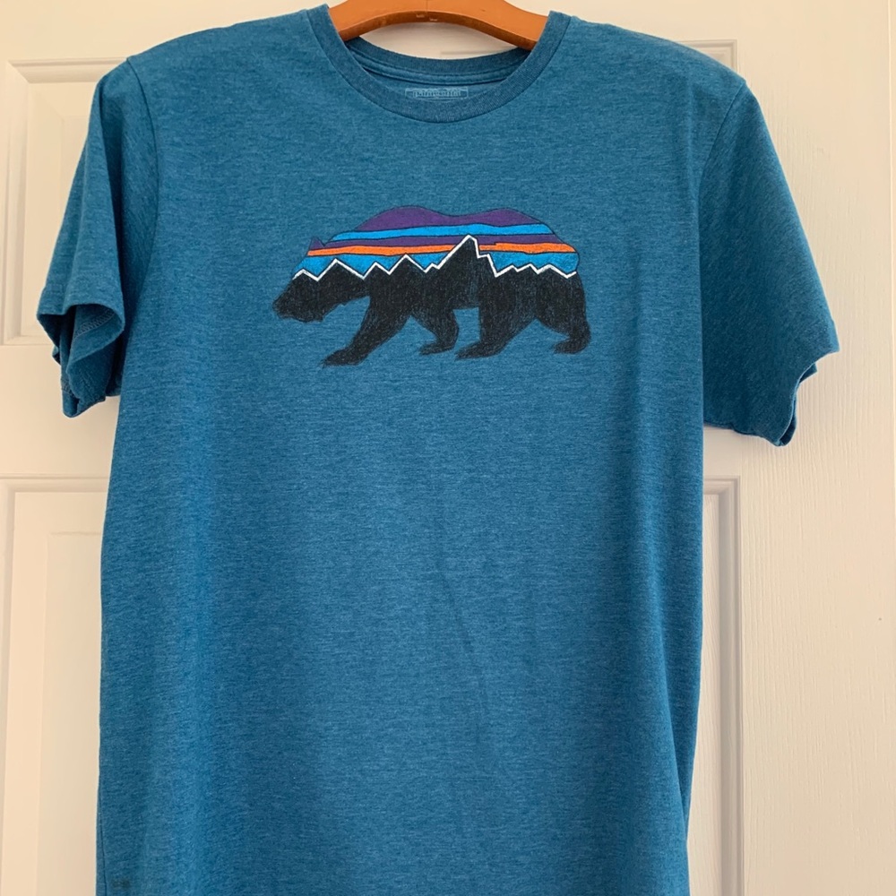 Men’s Patagonia t shirt